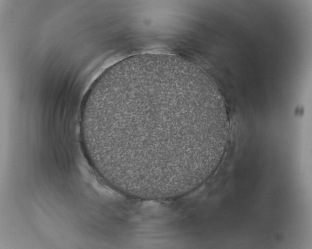 X0000113080290200910091239