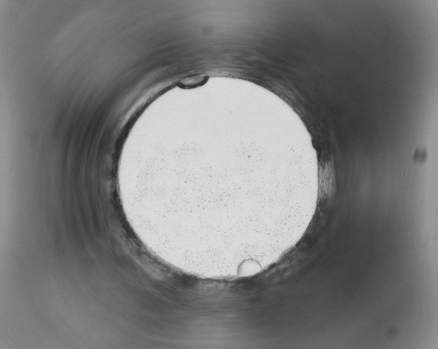 X0000113080291200910091239
