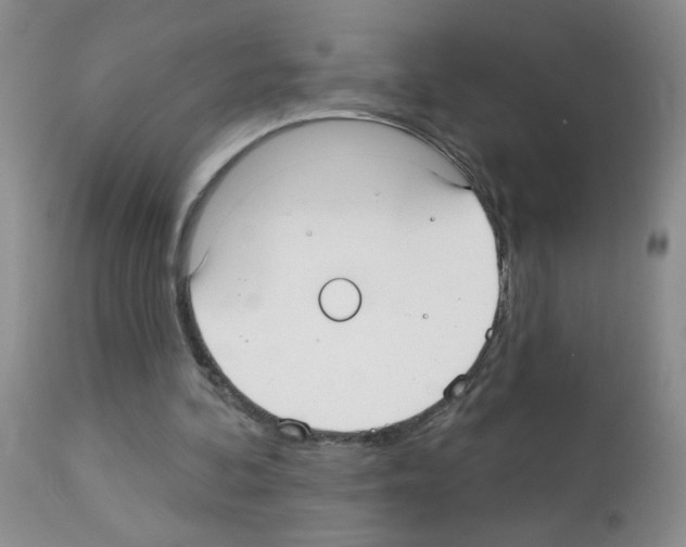 X0000113080292200910091239
