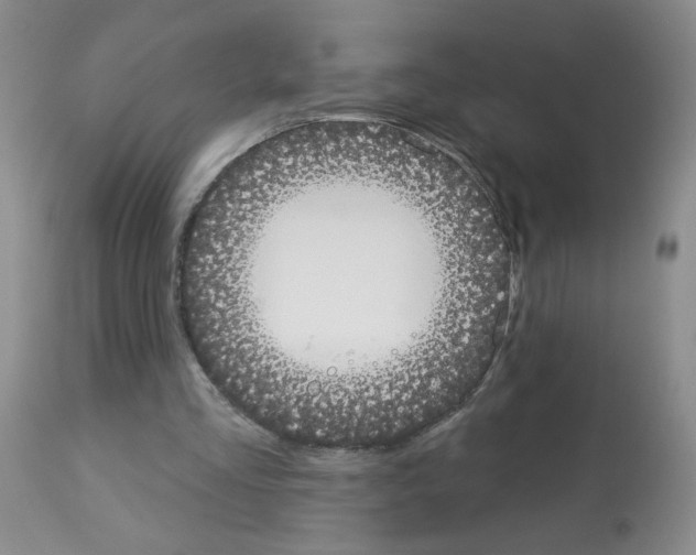 X0000113080293200910091239