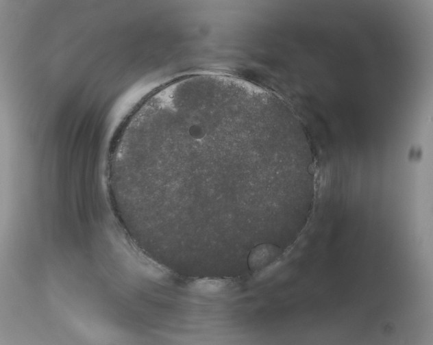 X0000113080294200910091239