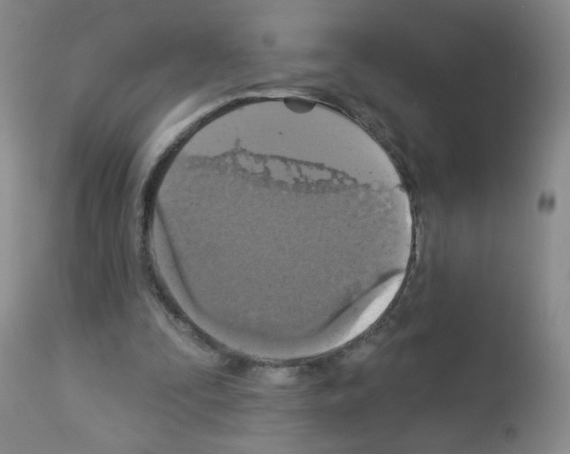 X0000113080295200910091239