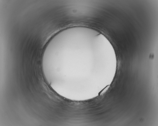 X0000113080297200910091239