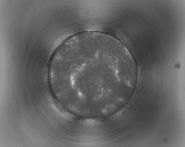 X0000113080298200910091239