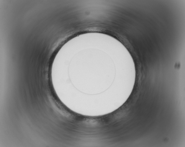 X0000113080299200910091239