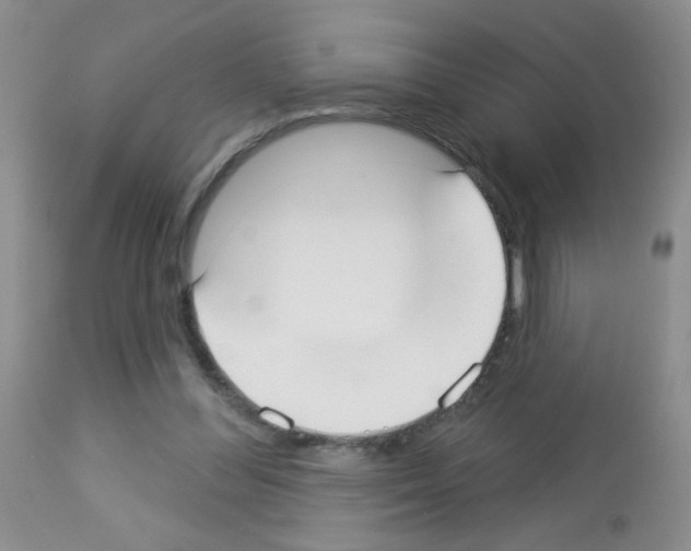 X0000113080300200910091239