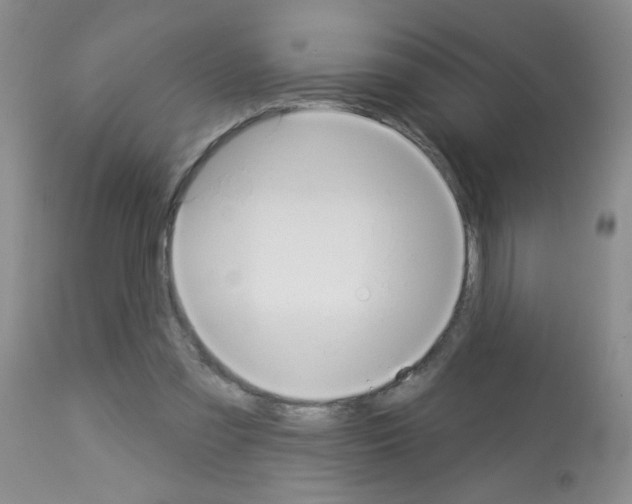 X0000113080301200910091239