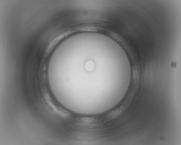 X0000113080302200910091239