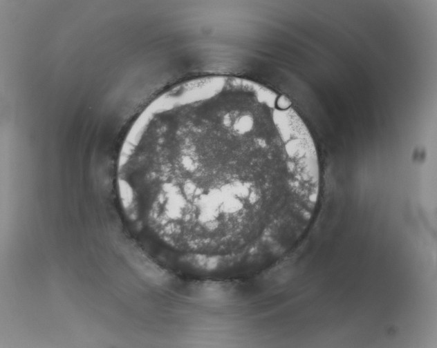 X0000113080305200910091239