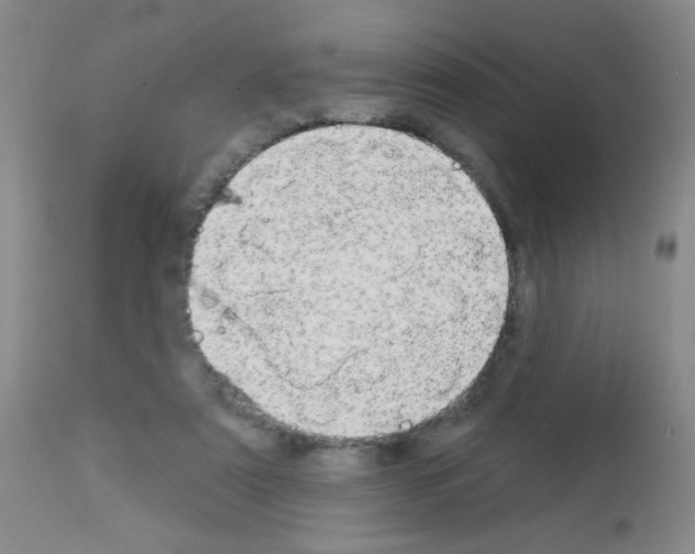 X0000113080307200910091239