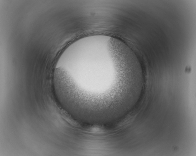 X0000113080308200910091239