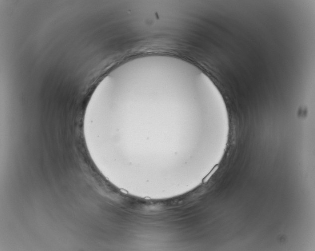 X0000113080309200910091239