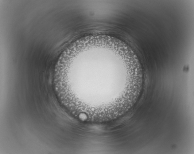 X0000113080313200910091239