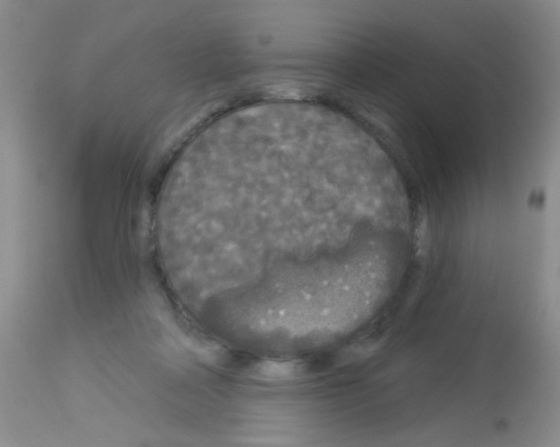 X0000113080314200910091239
