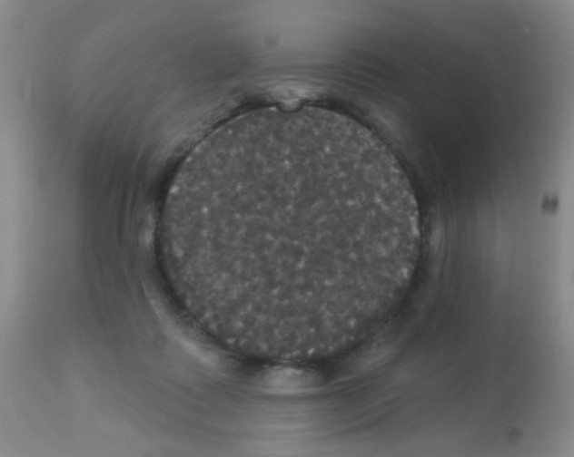 X0000113080315200910091239