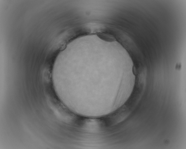 X0000113080316200910091239