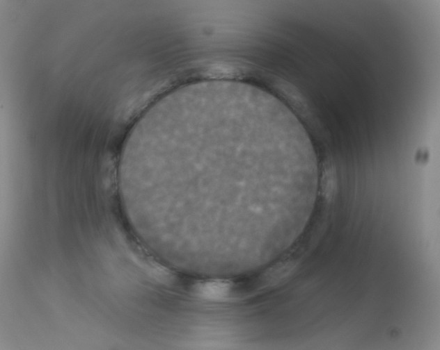 X0000113080318200910091238