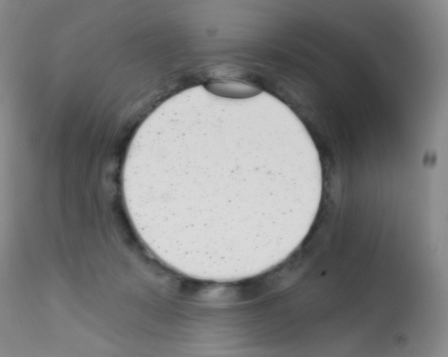 X0000113080319200910091238