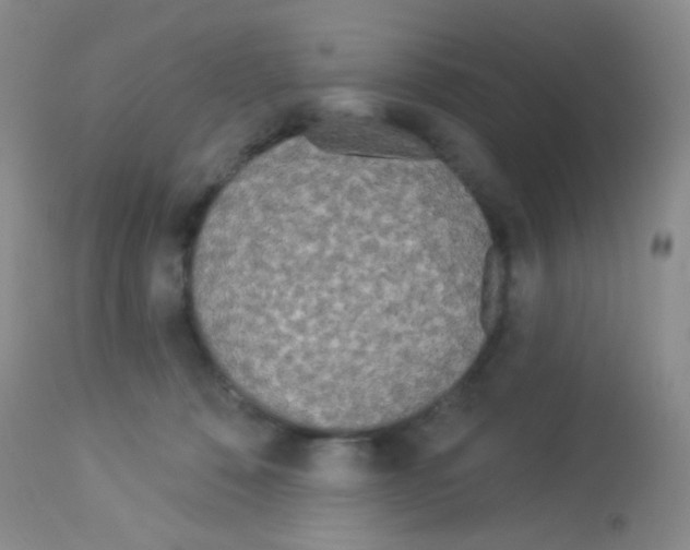 X0000113080320200910091238