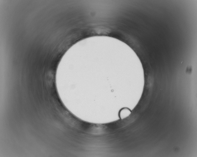 X0000113080321200910091238