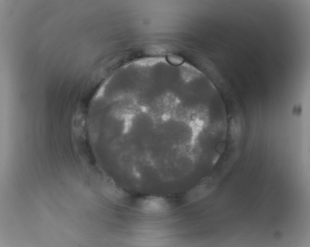 X0000113080322200910091238