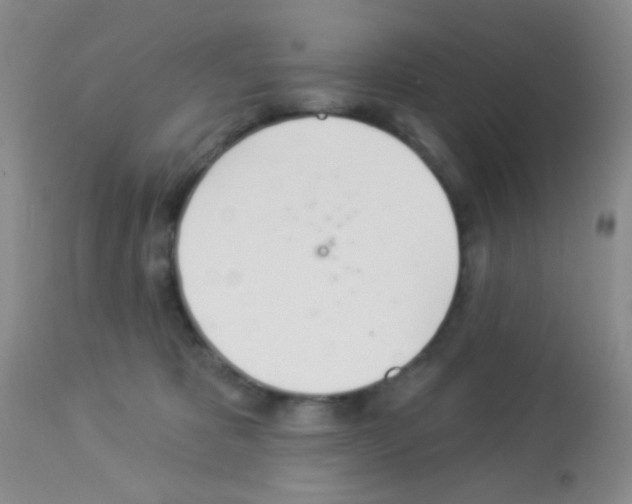 X0000113080325200910091238