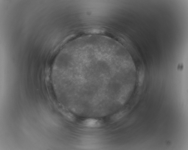 X0000113080326200910091238