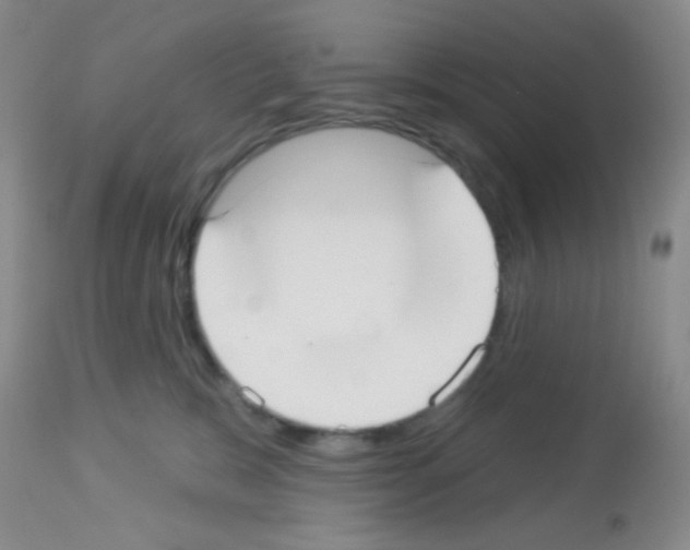 X0000113080327200910091238