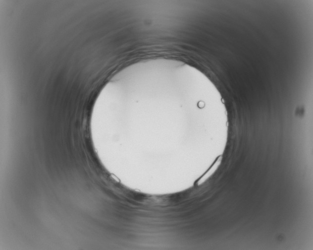 X0000113080328200910091238