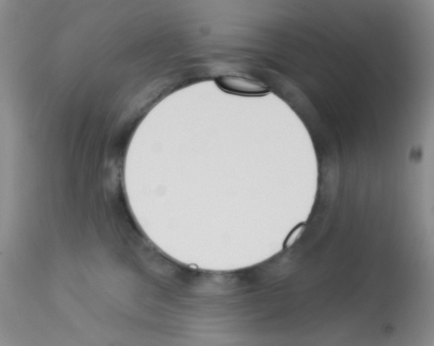 X0000113080329200910091238