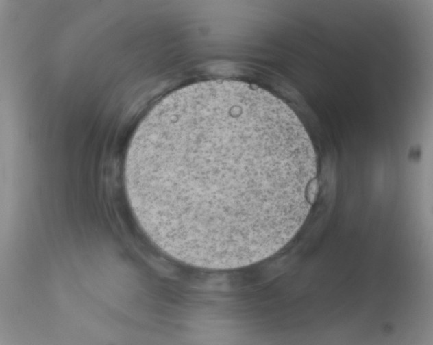 X0000113080330200910091238
