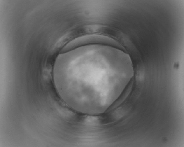 X0000113080332200910091238