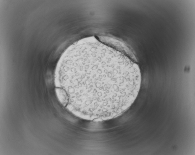 X0000113080335200910091238