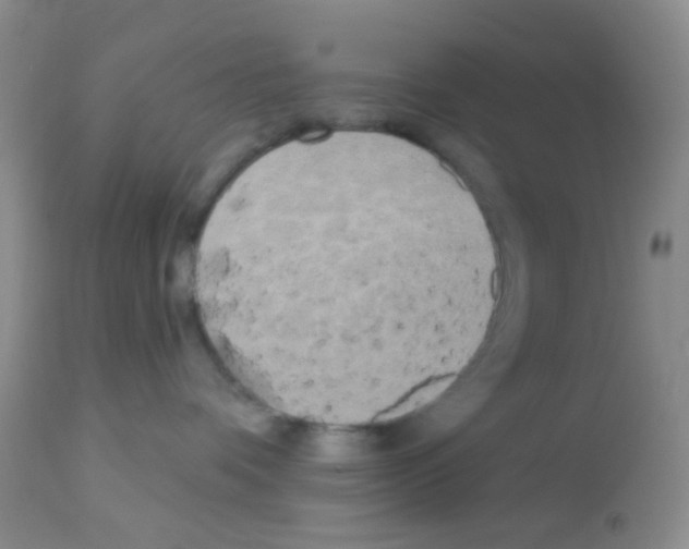 X0000113080336200910091238