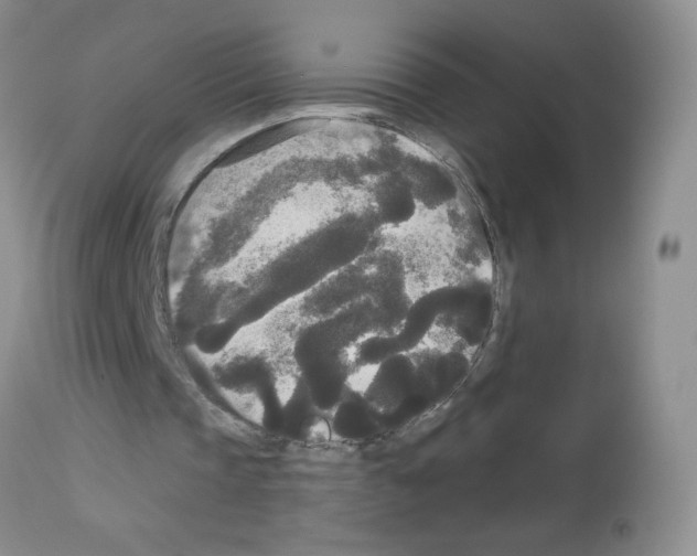 X0000113080337200910091237