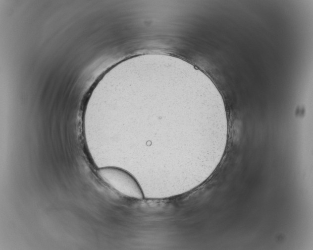 X0000113080338200910091237