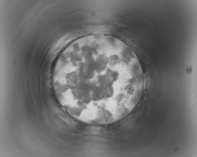 X0000113080339200910091237