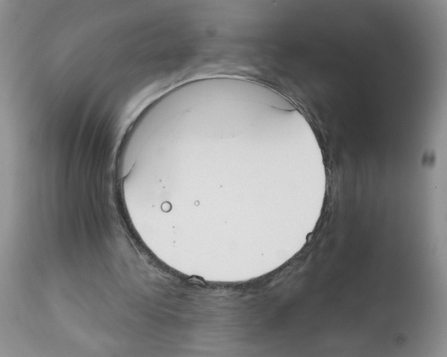 X0000113080340200910091237