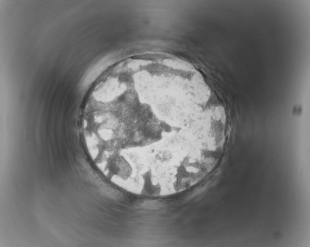 X0000113080341200910091237