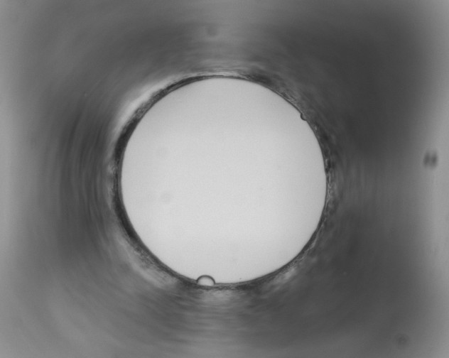 X0000113080342200910091237
