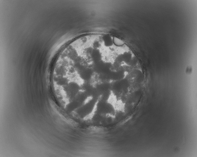 X0000113080343200910091237