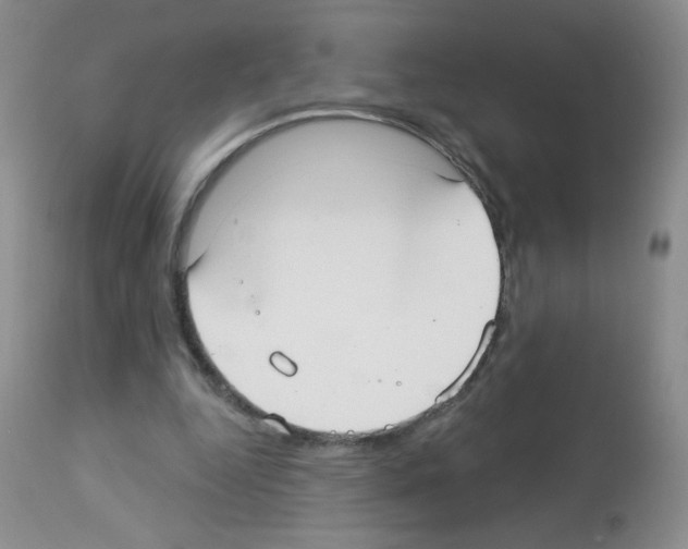 X0000113080344200910091238