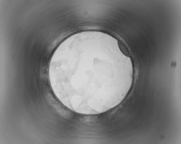 X0000113080345200910091238