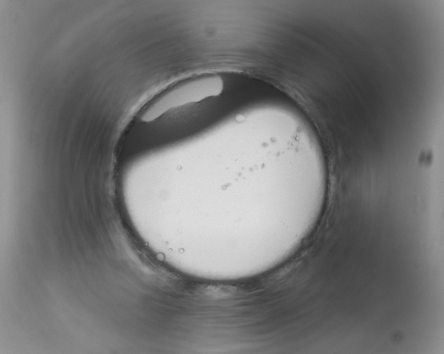 X0000113080346200910091238