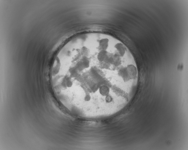 X0000113080347200910091238