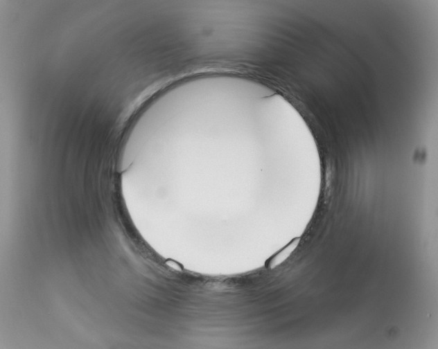 X0000113080348200910091238