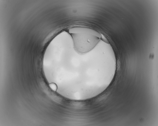 X0000113080349200910091238