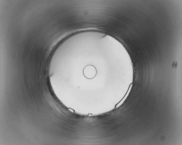 X0000113080350200910091238