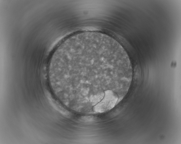 X0000113080351200910091238