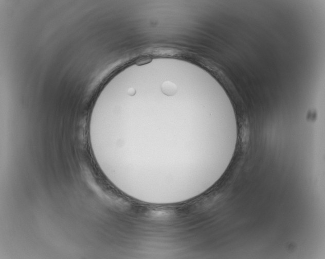 X0000113080352200910091238